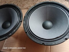 12″ ALNICO SPEAKER(S) 16 OHMS HEAVY .400″ THICK IRON ! EMINENCE 2″ VOICE COILS O
